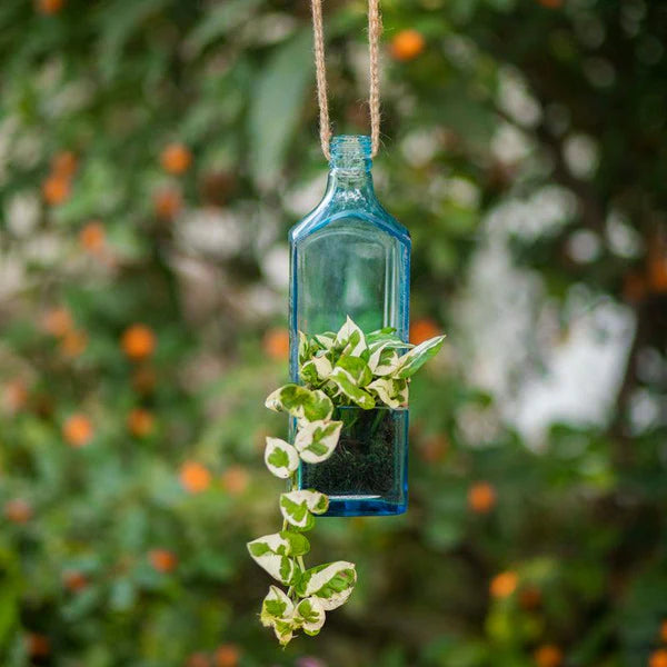 Sky Blue Upcycled Glass Planter | Indoor Plant Holder